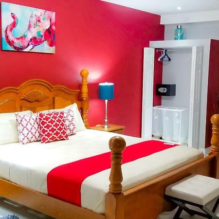 Casa Tamar Guest Apartment Kingston Zewnętrze zdjęcie
