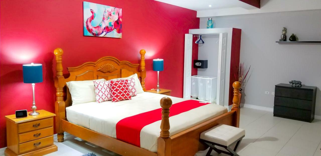 Casa Tamar Guest Apartment Kingston Zewnętrze zdjęcie