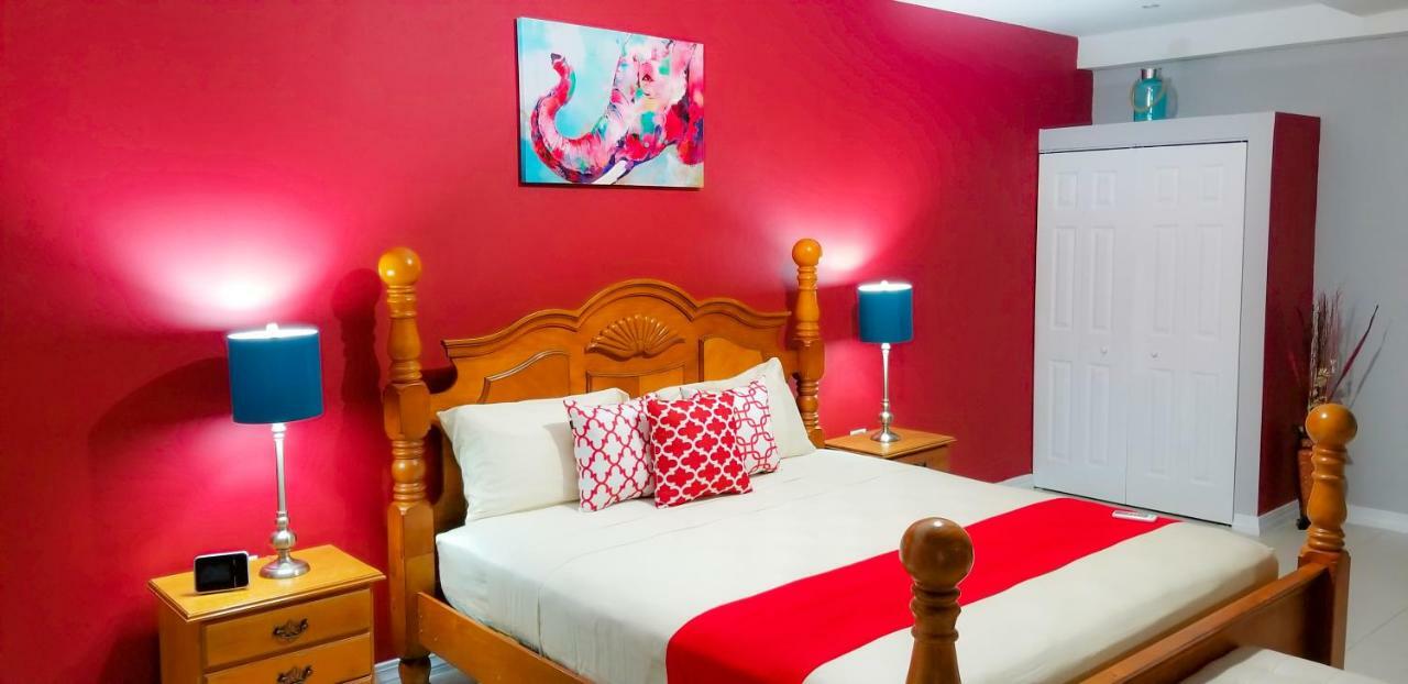 Casa Tamar Guest Apartment Kingston Zewnętrze zdjęcie