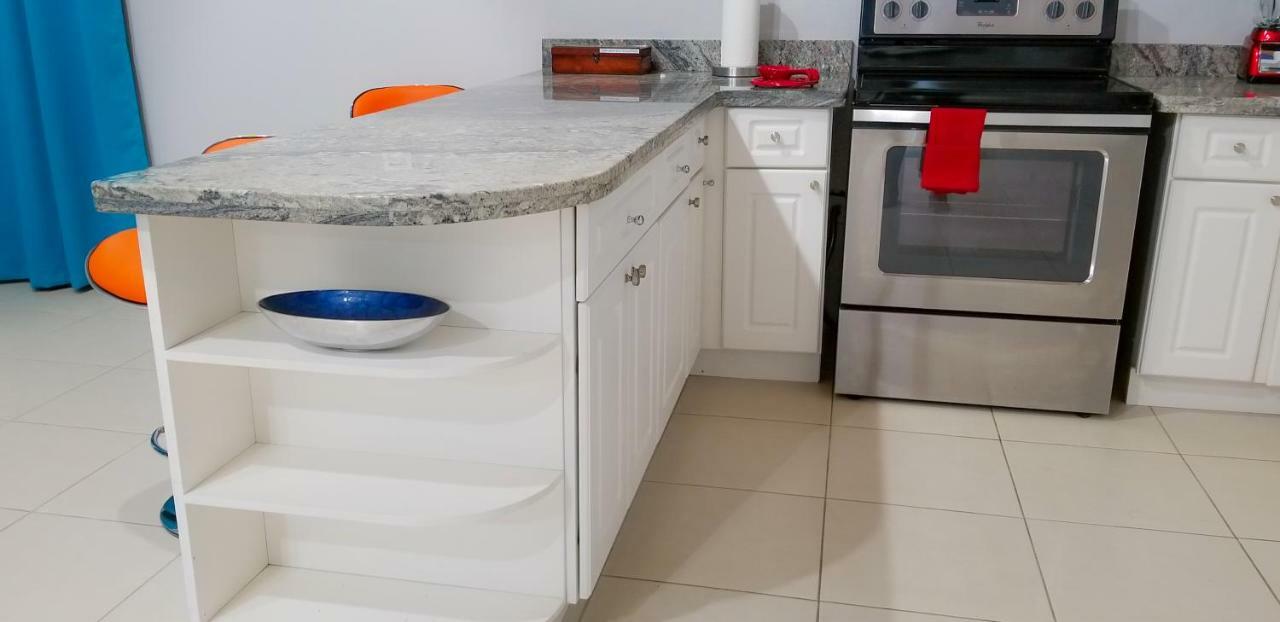 Casa Tamar Guest Apartment Kingston Zewnętrze zdjęcie